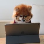 インターネットビジネスで稼ぐ10万円の価値がすごい!