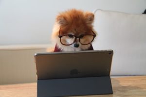 インターネットビジネスで稼ぐ10万円の価値がすごい！  